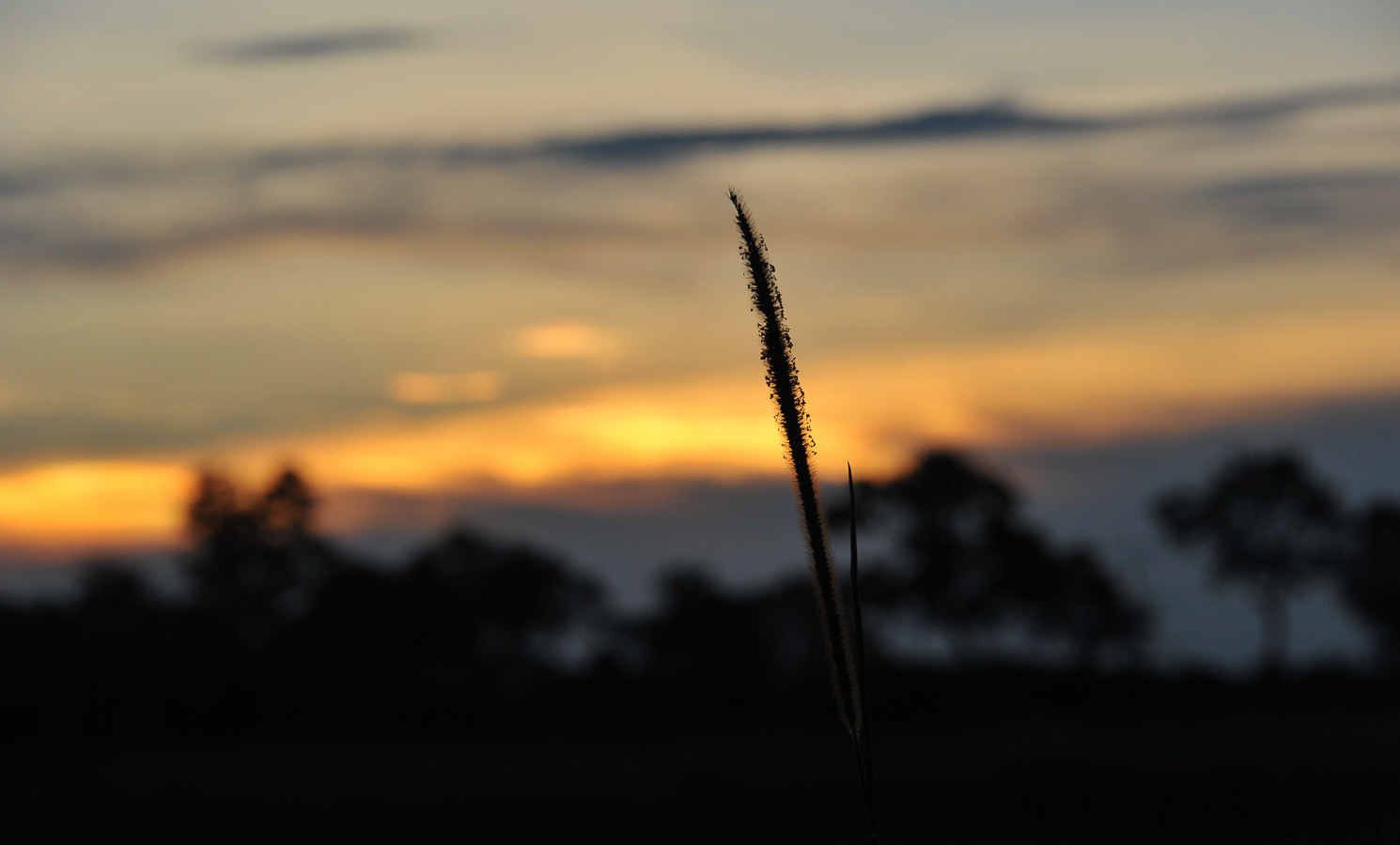 [135 mm, 1/320 Sek. bei f / 8.0, ISO 800]